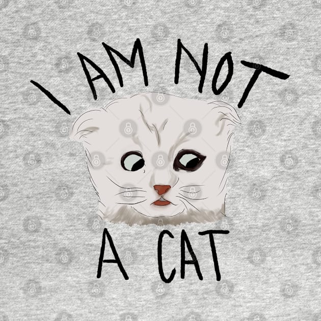 I Am Not A Cat by Becki Sturgeon